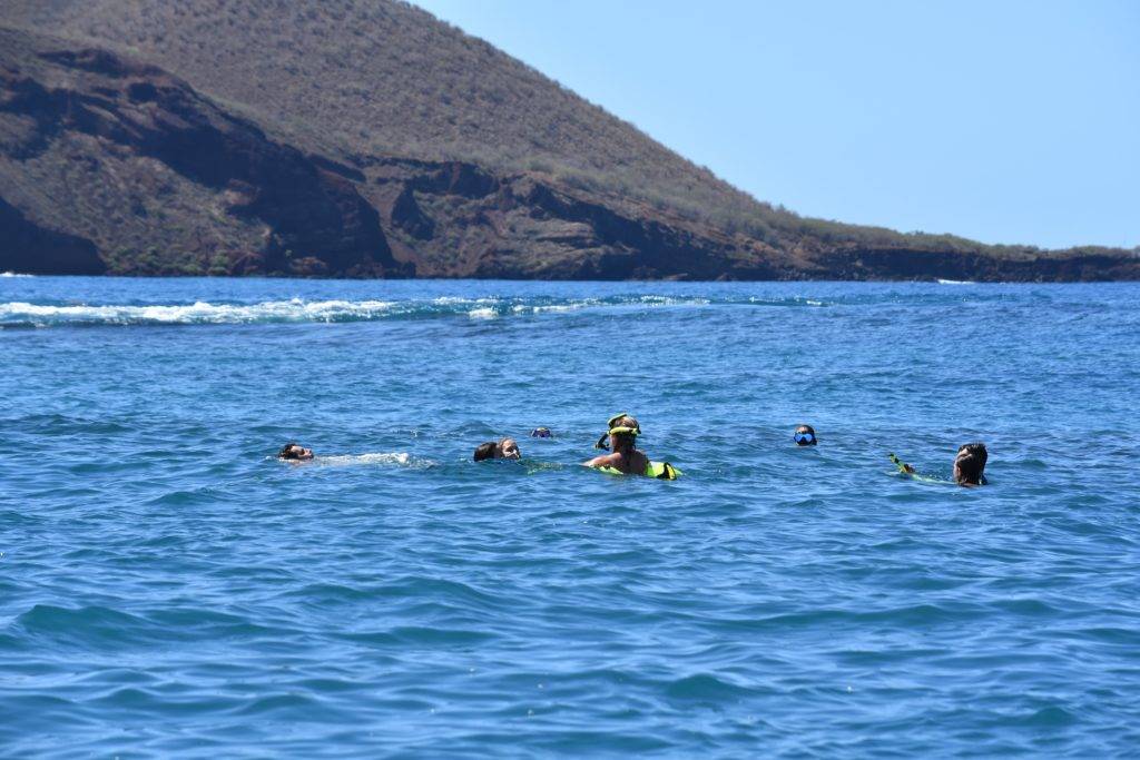 Snorkel Rentals Maui