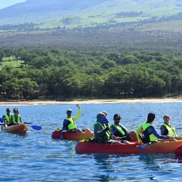 Kayak Tours Maui