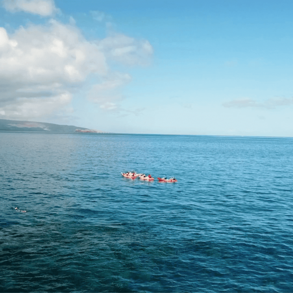 Kayak Maui